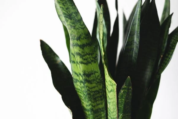 《那些温暖人心的友爱故事:读后百字感悟》