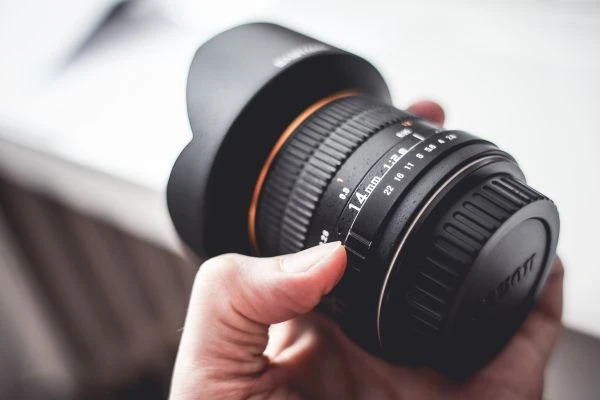 《海岛女王的故事》:一部关于自由与野性的灵魂史诗