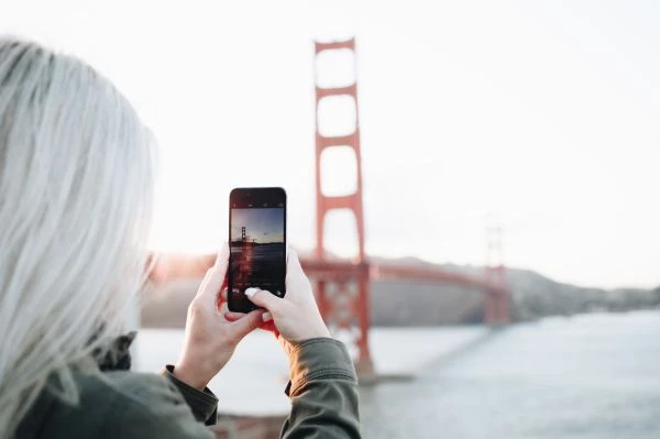 《昆虫世界的奇妙冒险：当人类情感邂逅六足生灵的文学魅力》