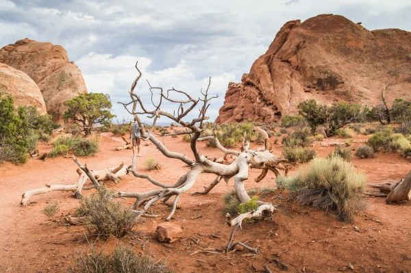 《书页间的灵魂对话：那些改变我人生的读书故事》