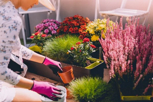 《千年回响：在<故事西安的味道>里咀嚼一座城的灵魂》