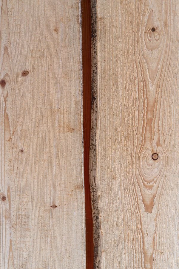 《捉兔故事读后感：一场关于欲望与救赎的心灵冒险》