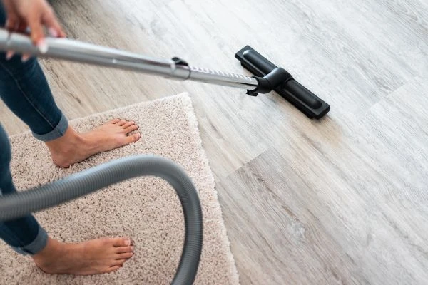 <h1>当忠诚成为传奇：《忠犬送信》中那份跨越物种的深情启示</h1>