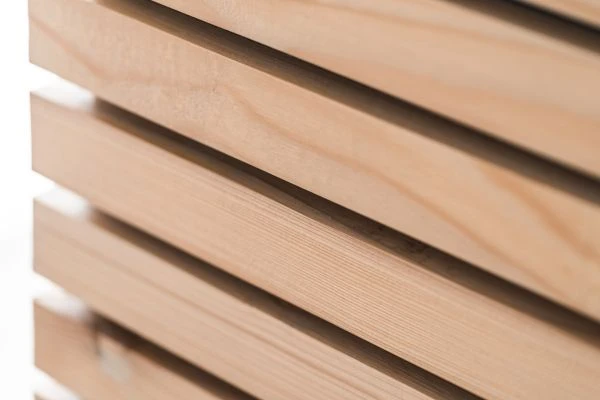 娃娃小姐的故事：一个关于爱与救赎的现代寓言