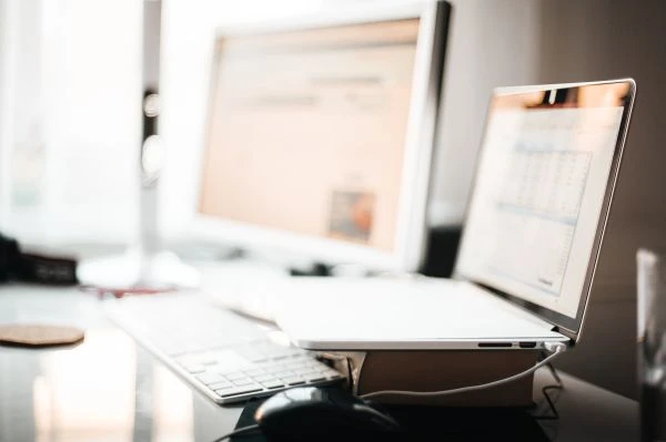 《虎啸山林:从猛兽寓言中读懂人性与野性的永恒对话》