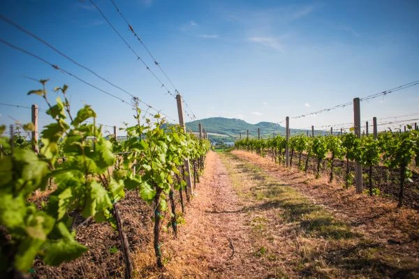 《陈建军故事：一位普通人的非凡人生启示录》