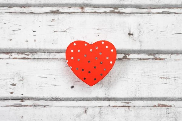 《忠心的故事：那些让我们热泪盈眶的忠诚瞬间》